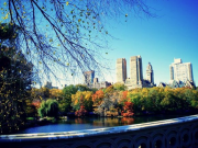 An email I sent to a friend about NYC. Screen Shot 2013-10-27 at 17.27.55