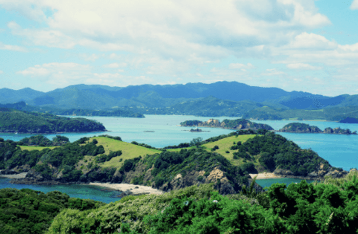 expat new zealand