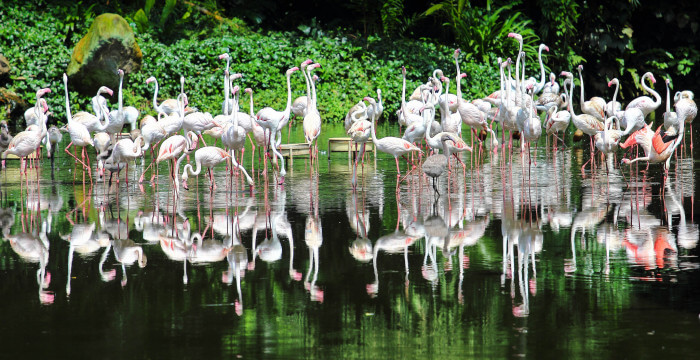 places of interest in singapore