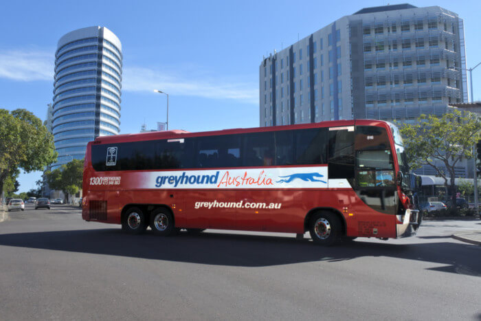 greyhound australia review australia