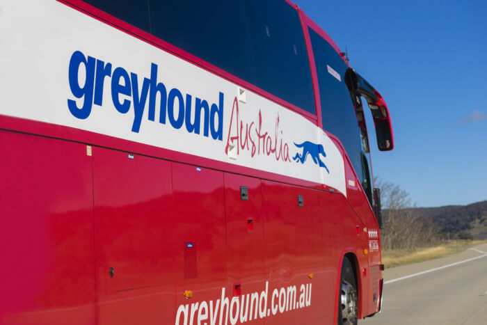 greyhound australia review