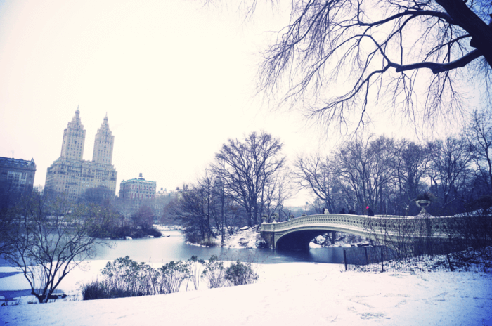 central park in the snow