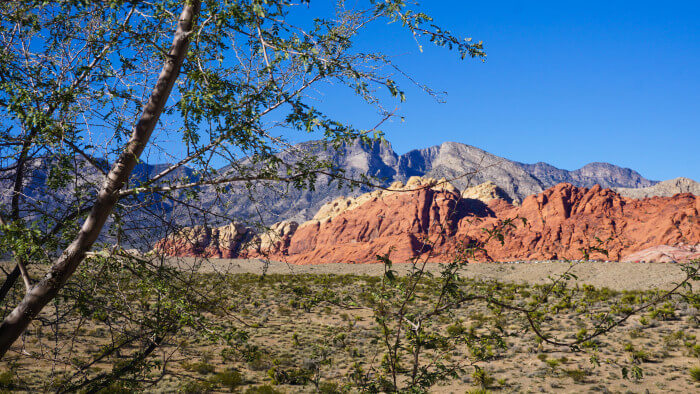 Red Rock Canyon National Conservation Area, Las Vegas