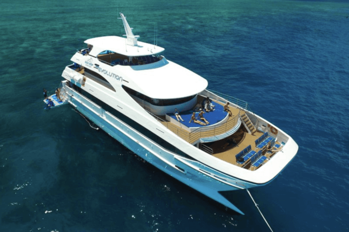 great barrier reef tour from cairns