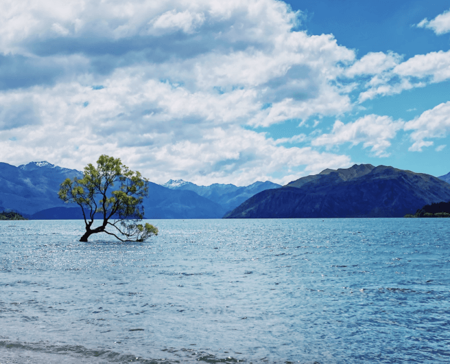 Wanaka new zealand 2020