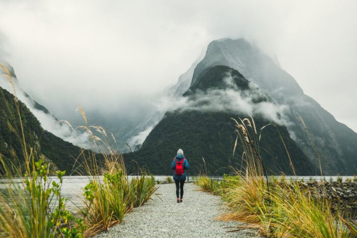 the best way to see Milford Sound