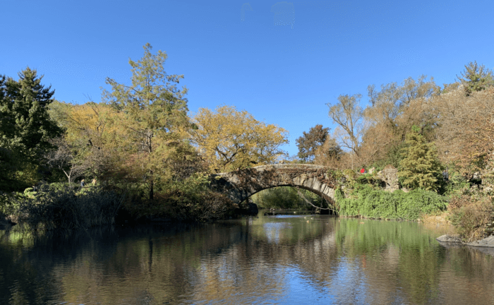 The Best Central Park Photo Spots !!!