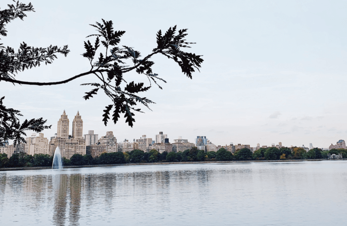 The Best Central Park Photo Spots