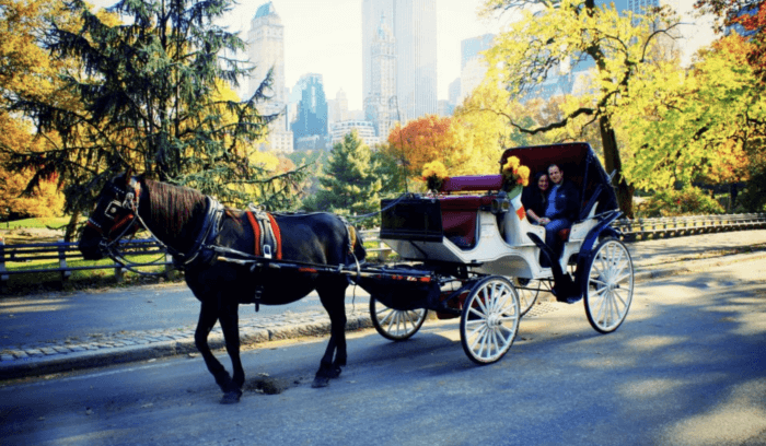 The Best Central Park Photo Spots !!