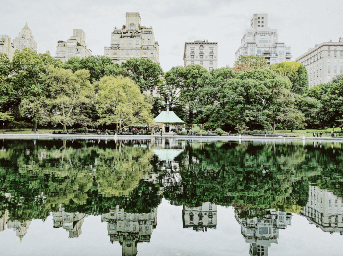 The Best Central Park Photo Spots ! !