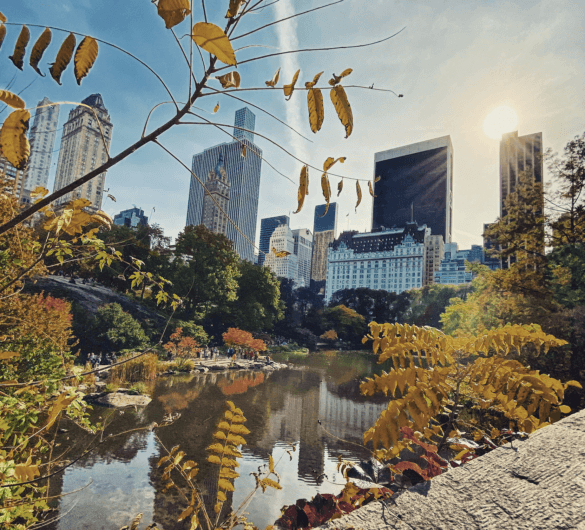 The Best Central Park Photo Spots !!!