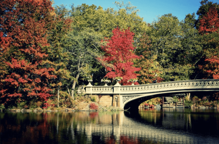 The Best Central Park Photo Spots in nyc