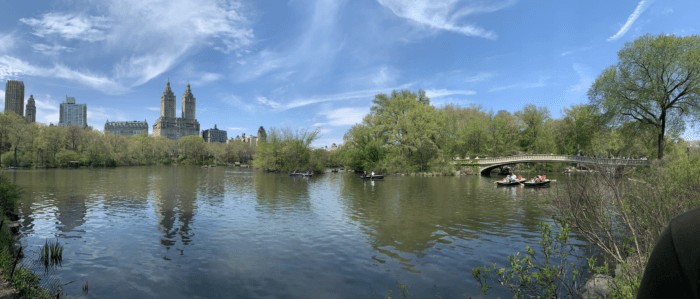 The Best Central Park Photo Spots nyc