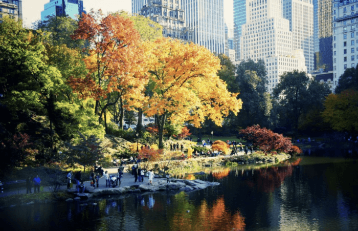 best central park walking tours