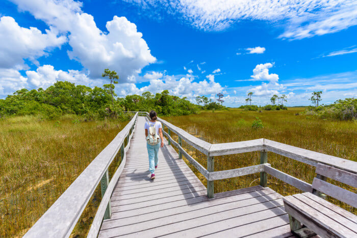 best way to see the everglades usa