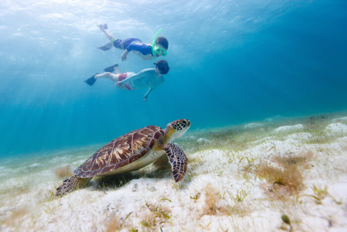 How To Get Your Kids Into Snorkelling