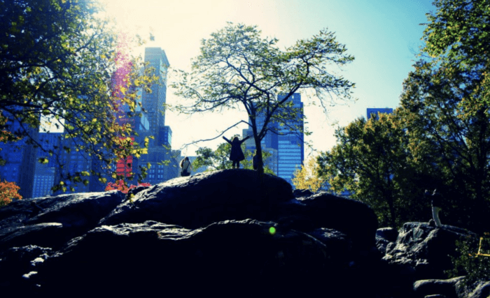 The Best Central Park Photo Spots