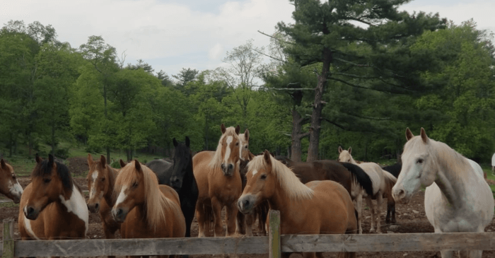 things to do in Hunter NY.
