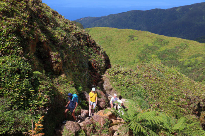 stuff to do in Guadeloupe