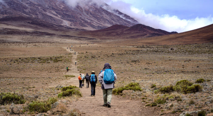 Kilimanjaro tips