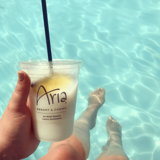 aria pool las vegas review