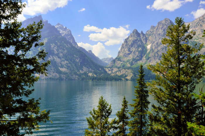 best things to do in jenny lake