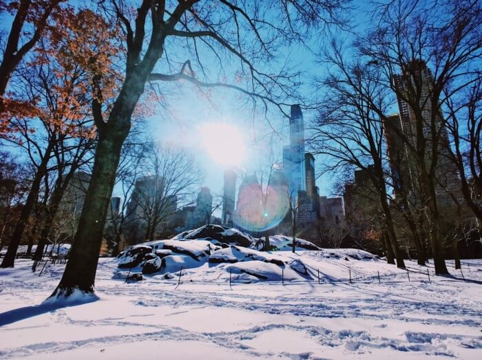 photos of central park in winter