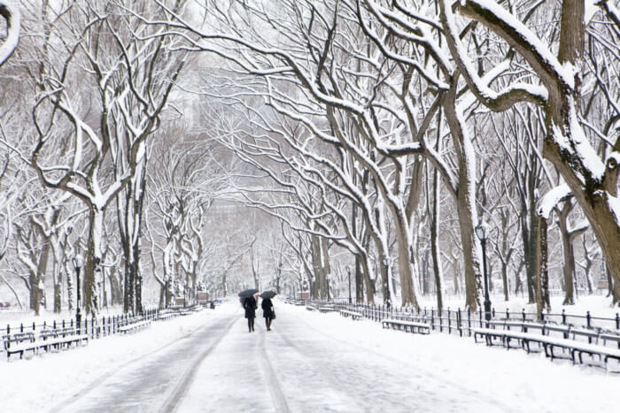 central park in the snow