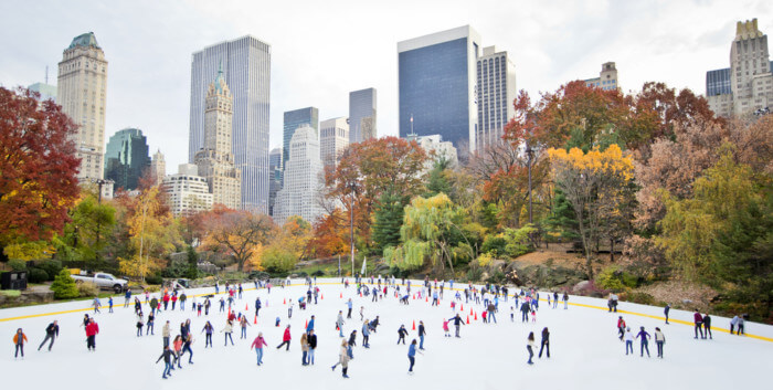 central park in winter