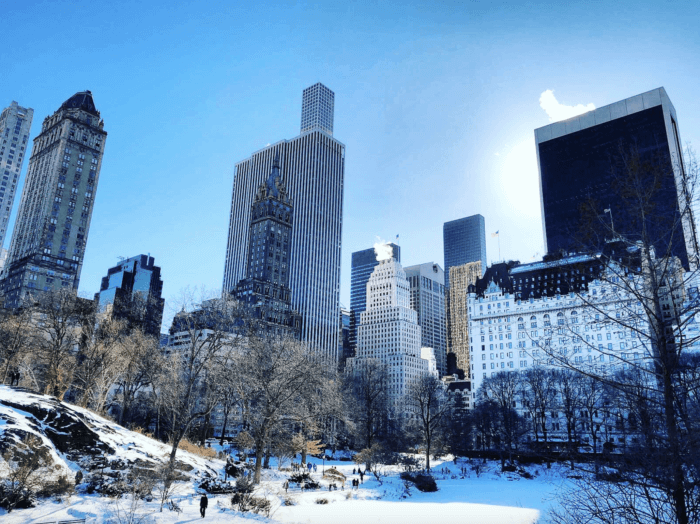 central park winter