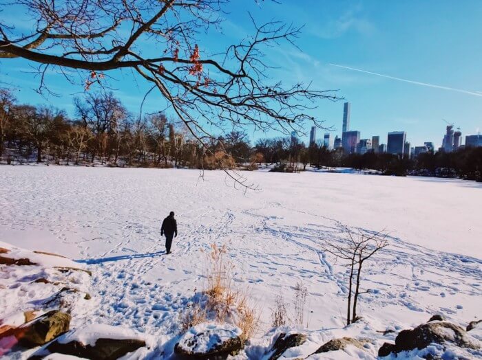 photos of central park in winter