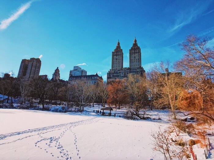 photos of central park in winter