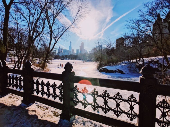 central park in winter