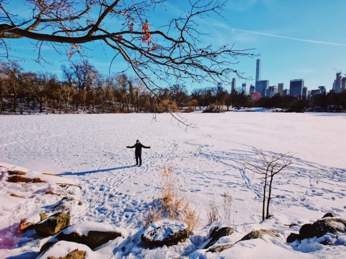 central park in winter