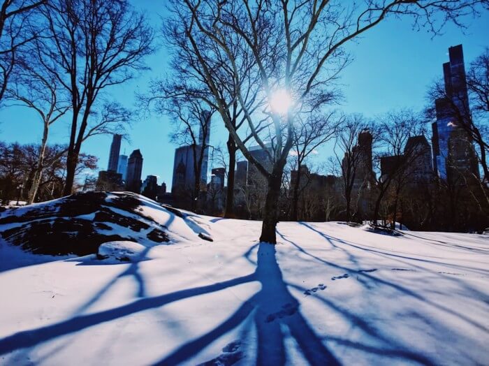 photos of central park in the winter