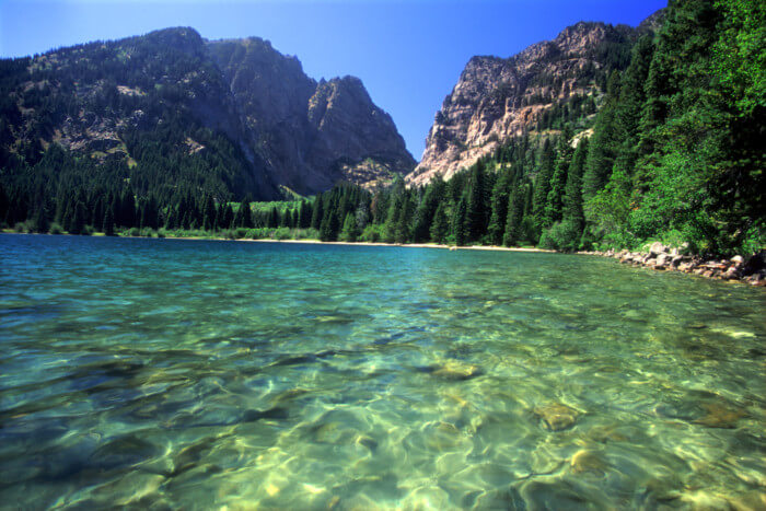 things to do in jenny lake USA