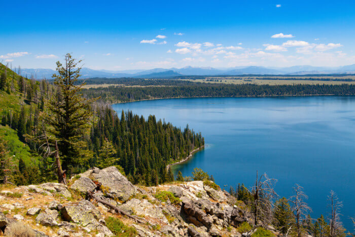 things to do in jenny lake wyoming