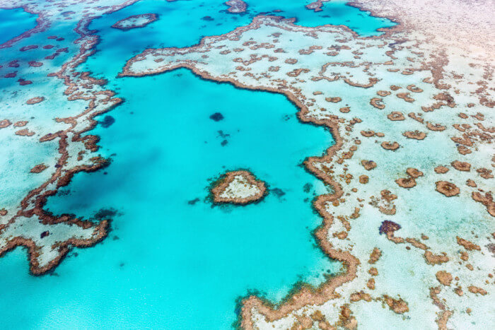 everything you need to know about Hamilton Island