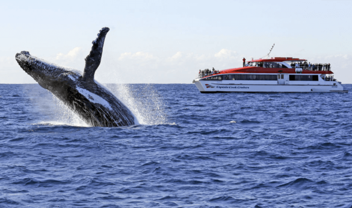 romantic things to do in Sydney australia
