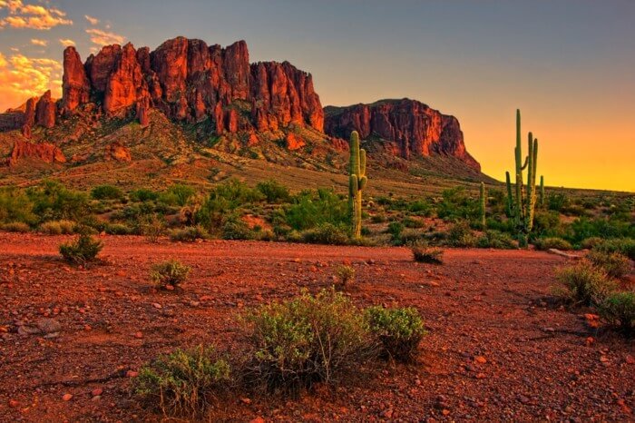 scottsdale desert tour