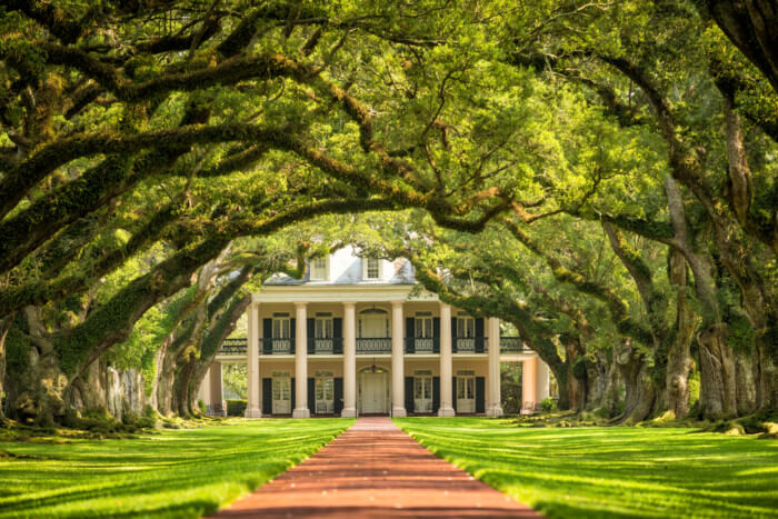 things to do in New Orleans