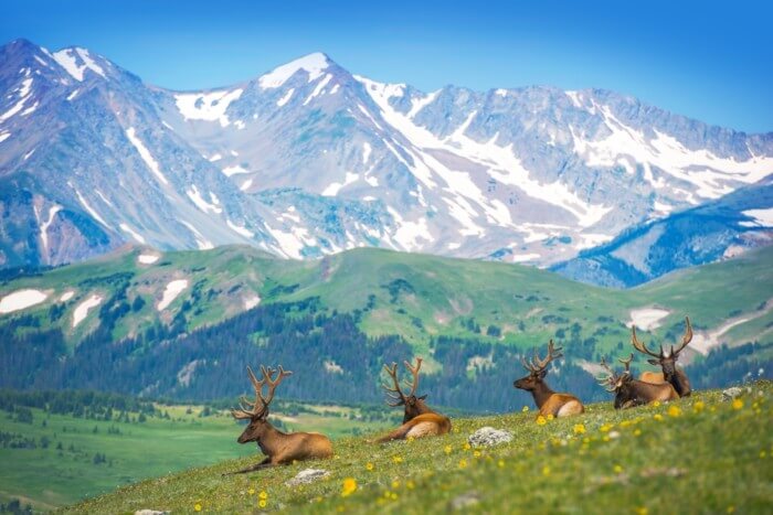 Scenic roads Near Denver