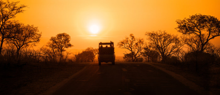 Tips for packing for a Safari