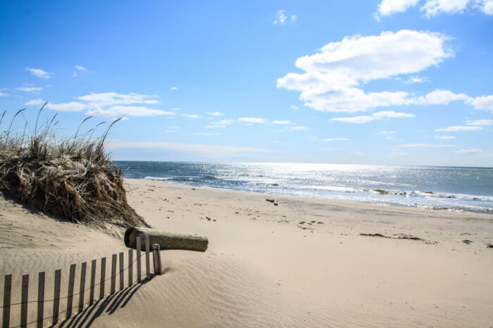 best Things to do in Montauk, New Jersey