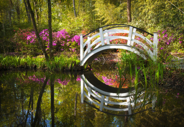things to do in Charleston, SC