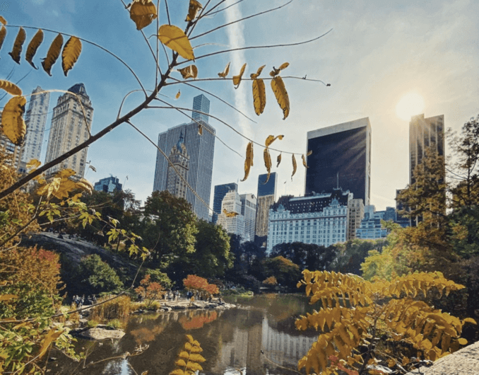 top Central Park entrances