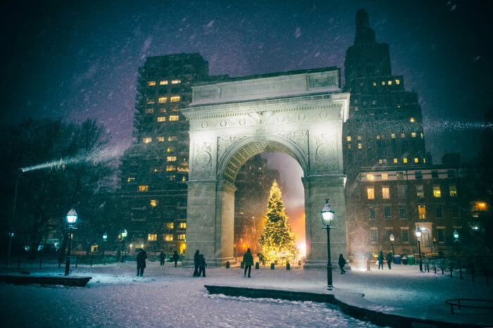 Best Christmas trees in new york