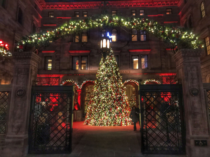 best New York Christmas trees.