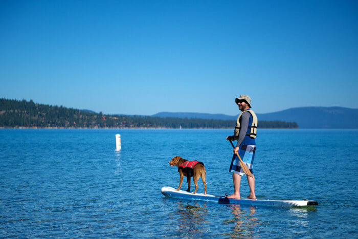 dog friendly places lake tahoe