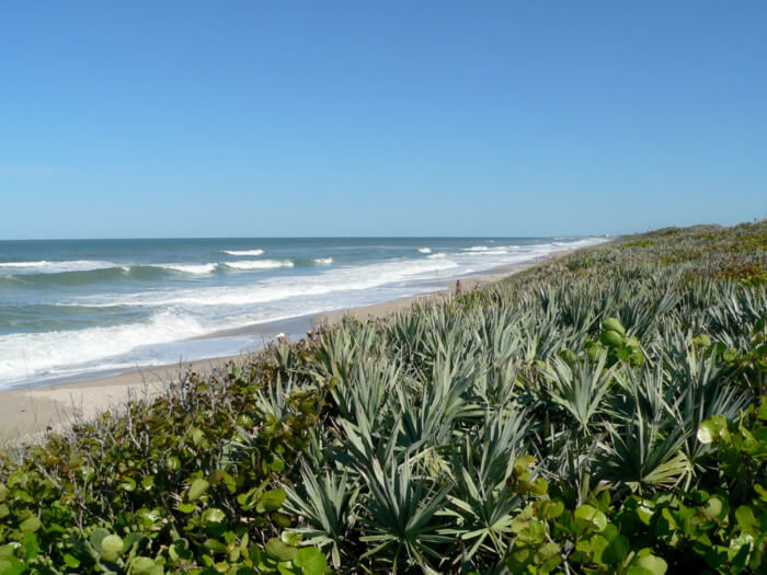 the top nude beaches in Florida